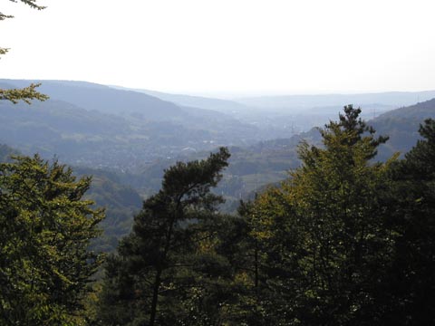 P9210049