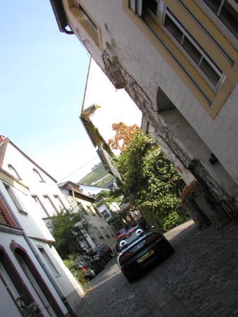 P9090019