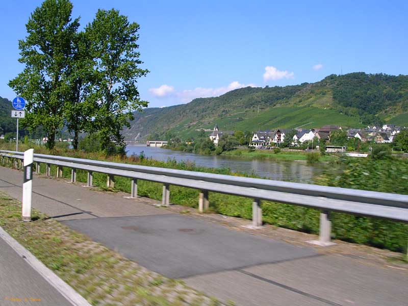 DSCN8781